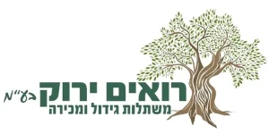 Roim Yarok