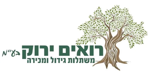 Roim Yarok