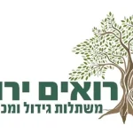 Roim-Yarok.webp